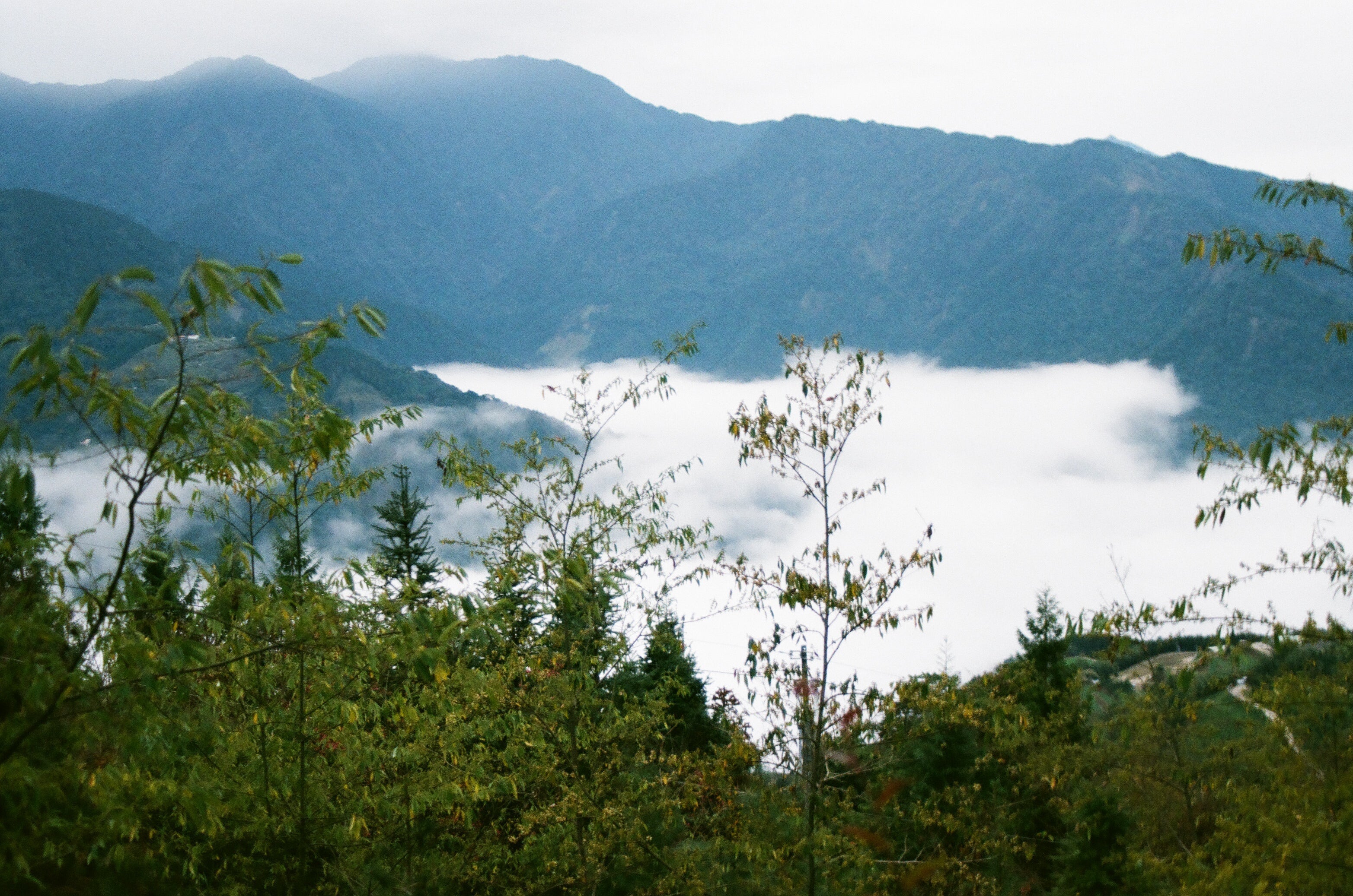 29 르 저널 Ep.38 머리부터 발끝까지
